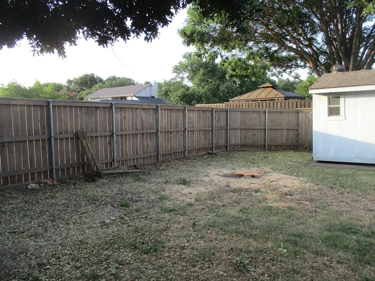 Cleared yard after professional tree removal in Terre Haute